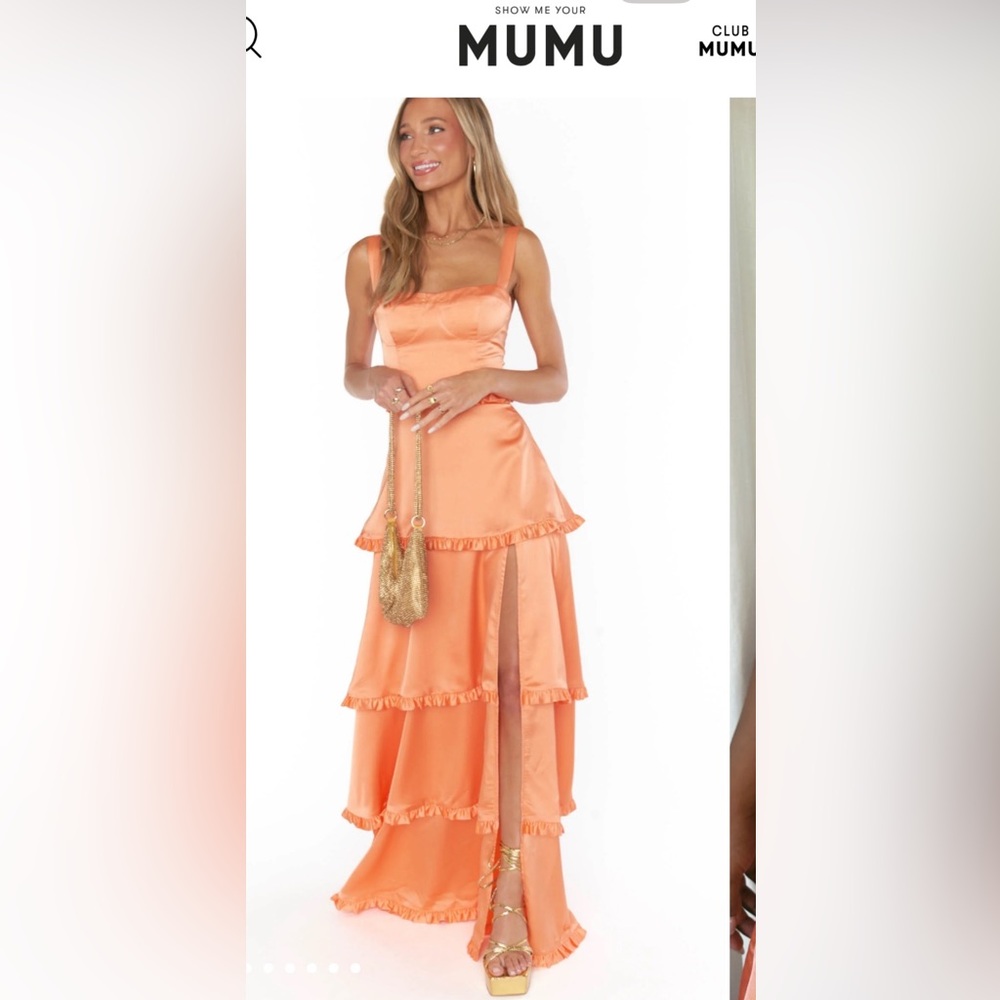 Show Me Your MuMu Lady Corset Prom Dress (sold out on website)